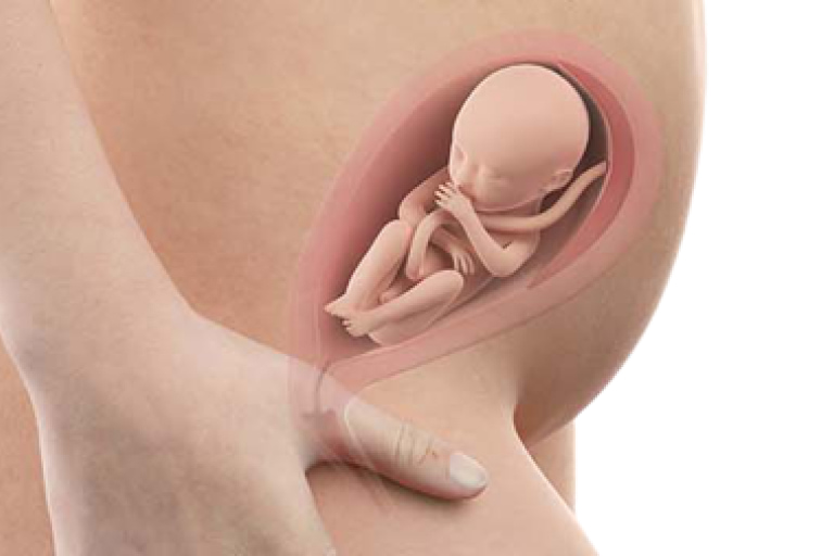 23 semaines de grossesse | Huggies® Canada