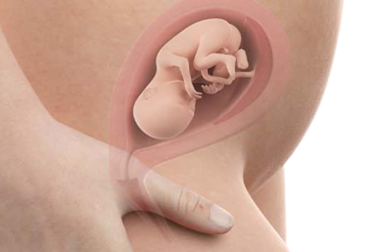 19 weeks pregnant