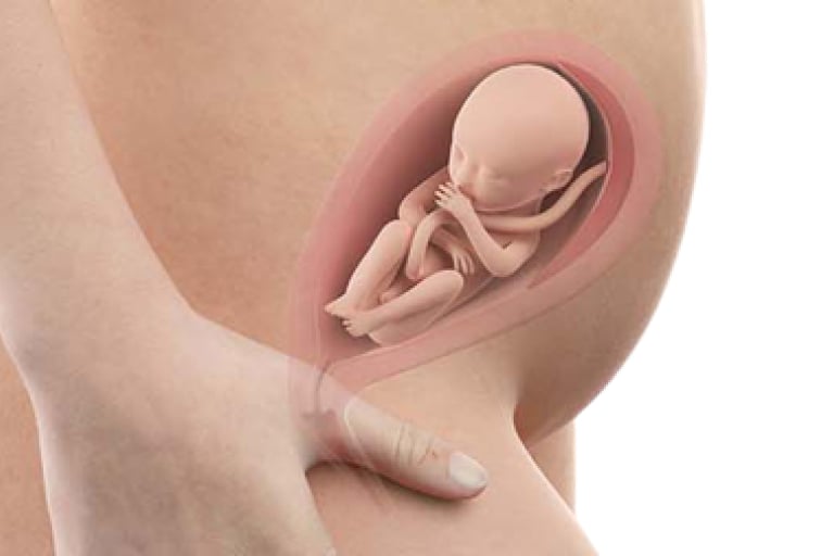 23 weeks pregnant