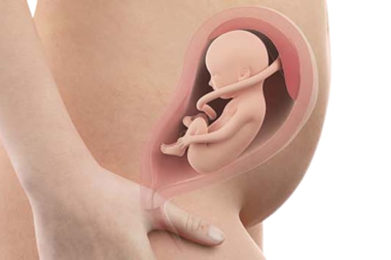 26 weeks pregnant