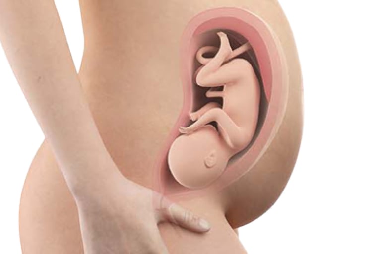 33 weeks pregnant