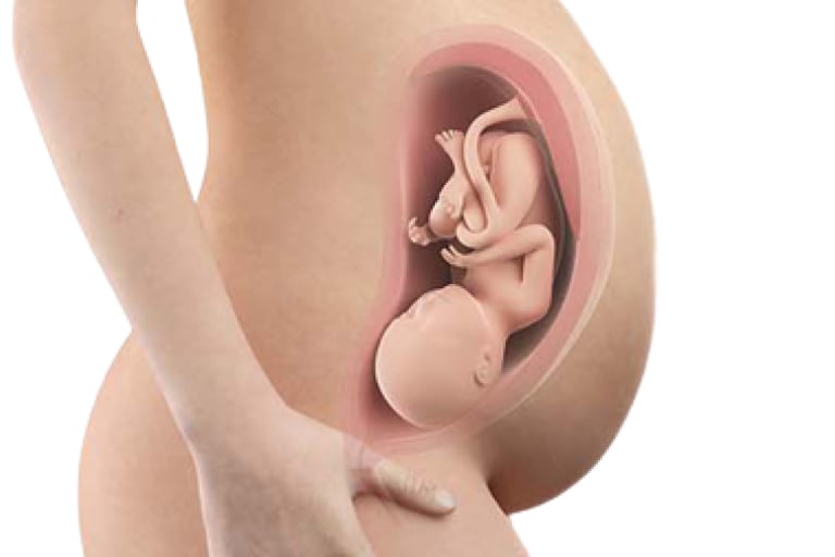 37 weeks pregnant