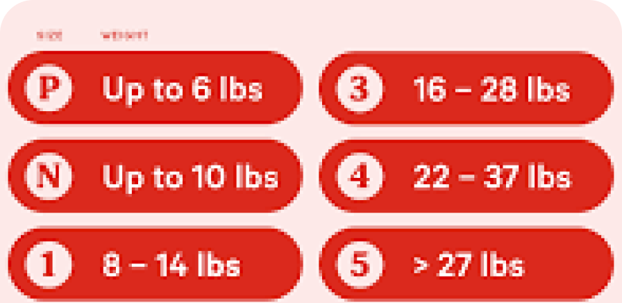 Diaper size chart guide for new parents to choose the right size
