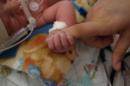 A newborn baby in NICU clutching parents index finger 
