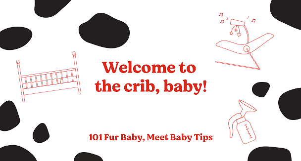 Crib_Baby
